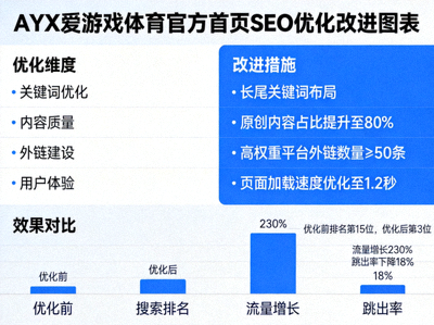 AYX爱游戏体育官方首页SEO搜索引擎优化改进图表